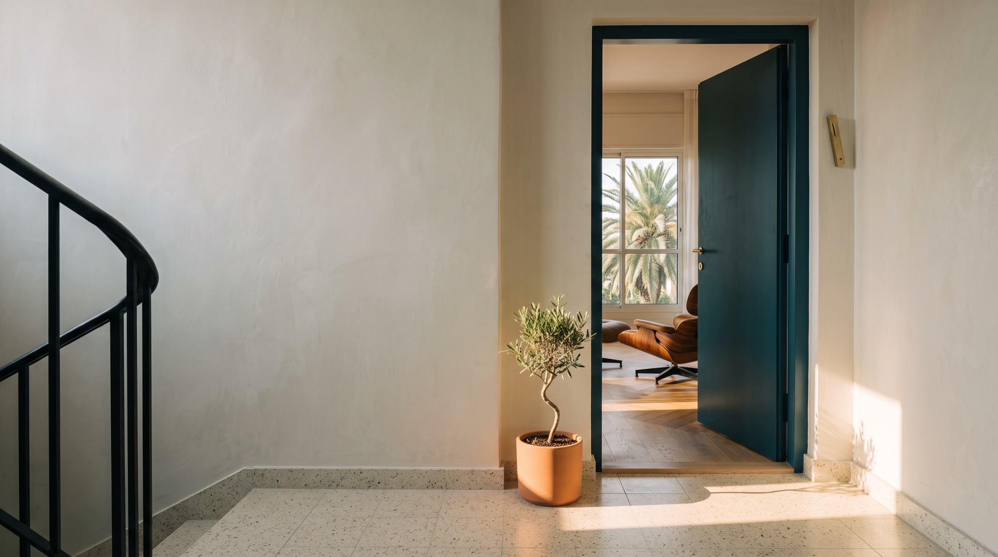Open front door of a modern home, looking through to a bright living room with an olive tree by the entrance
