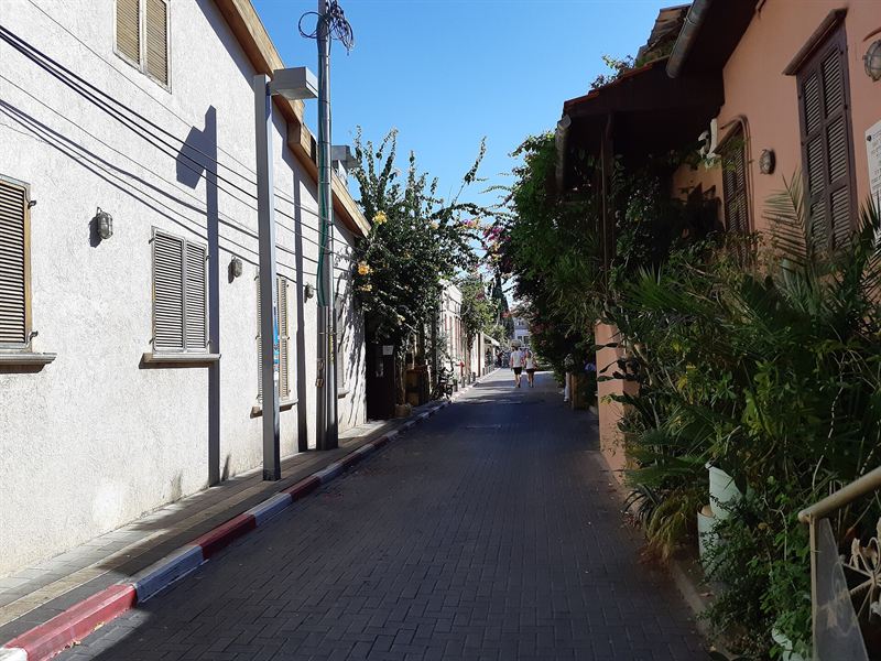 Enge Gasse mit niedrigen verputzten Häusern und Bougainvillea in Neve Tzedek, Tel Aviv