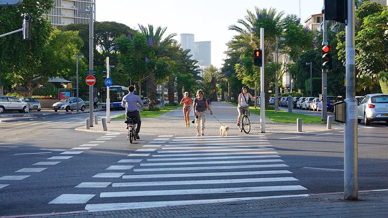 Ben-Gurion Boulevard in Tel Aviv's Old North, with palm trees and jacaranda trees